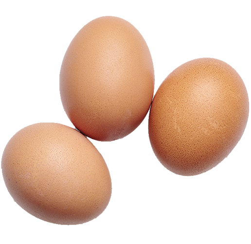 Eggs info-e